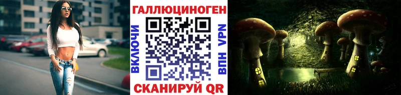 Галлюциногенные грибы Psilocybe  Купить закладки  Казань 